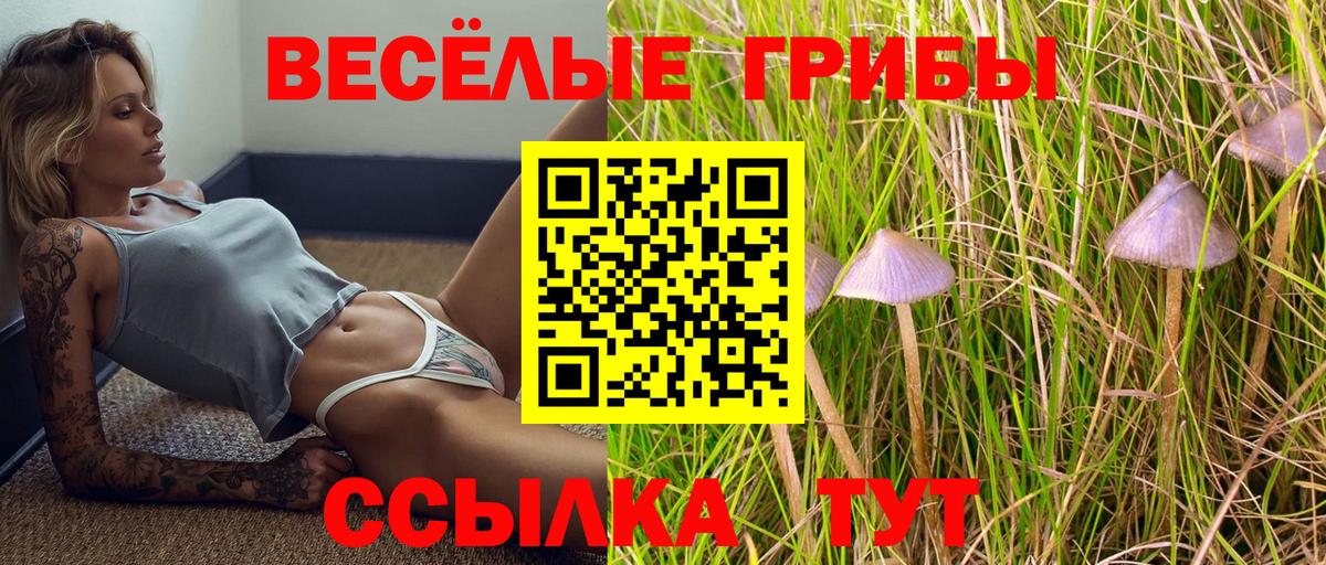 Галлюциногенные грибы ЛСД Рославль