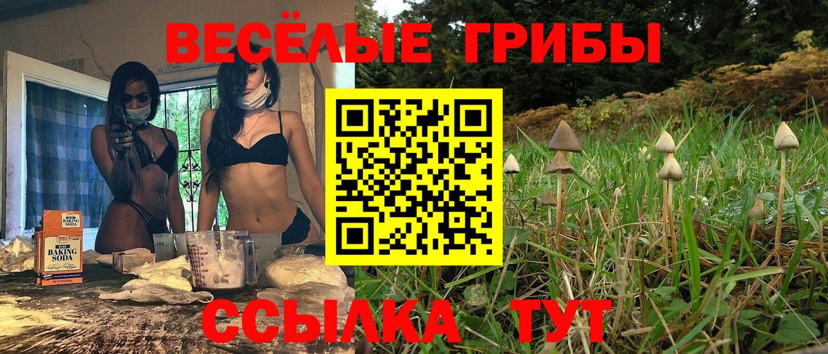 Рославль  Галлюциногенные грибы GOLDEN TEACHER  купить наркоту  Вход с VPN  Галлюциногенные грибы мухоморы 